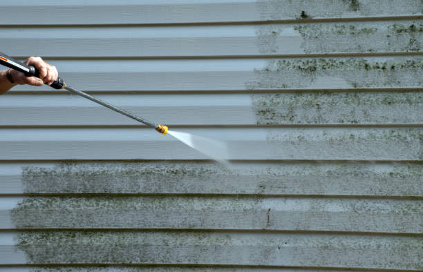 Best Mold Damage Repair  in Cecil Bishop, PA