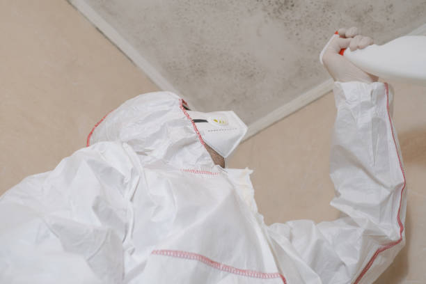 Mold Removal Process in Cecil Bishop, PA